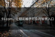 91.com，让精彩触手可及的智慧入口