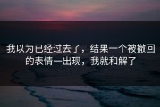 我以为已经过去了，结果一个被撤回的表情一出现，我就和解了