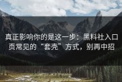 真正影响你的是这一步：黑料社入口页常见的“套壳”方式，别再中招