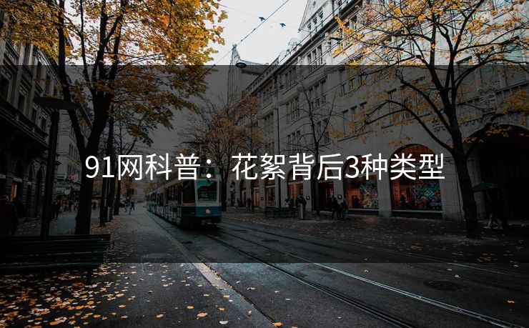 91网科普:花絮背后3种类型 91网科普:花絮背后3种类型