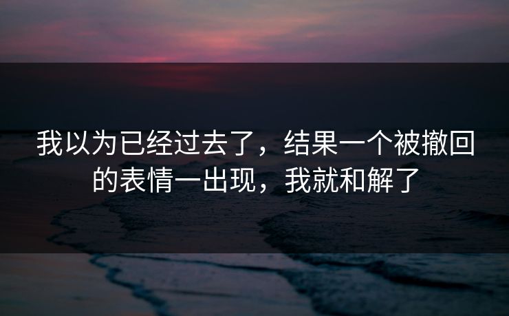 我以为已经过去了,结果一个被撤回的表情一出现,我就和解了 我以为已经过去了,结果一个被撤回的表情一出现,我就和解了