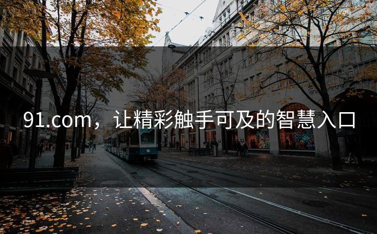 91.com，让精彩触手可及的智慧入口