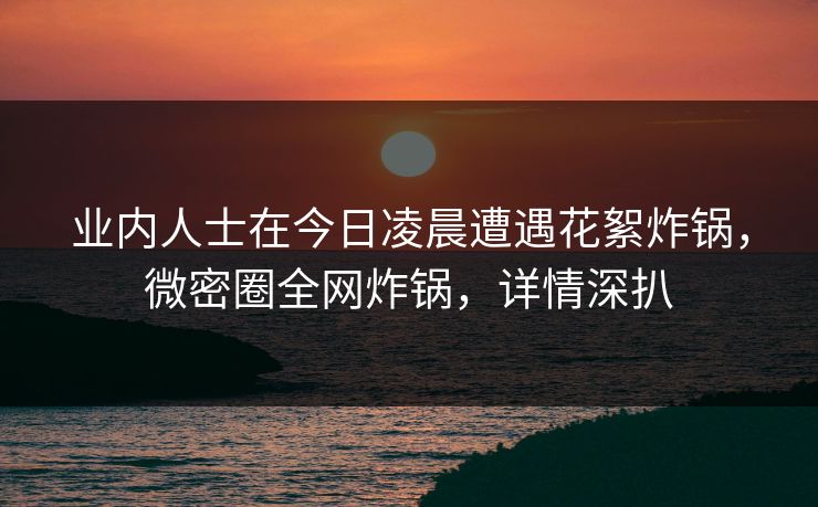 业内人士在今日凌晨遭遇花絮炸锅，微密圈全网炸锅，详情深扒