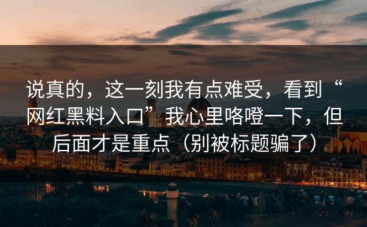 说真的，这一刻我有点难受，看到“网红黑料入口”我心里咯噔一下，但后面才是重点（别被标题骗了）