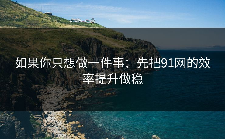 如果你只想做一件事：先把91网的效率提升做稳
