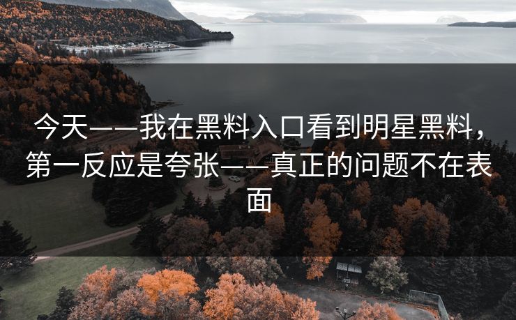 今天——我在黑料入口看到明星黑料,第一反应是夸张——真正的问题不在表面 今天——我在黑料入口看到明星黑料,第一反应是夸张——真正的问题不在表面